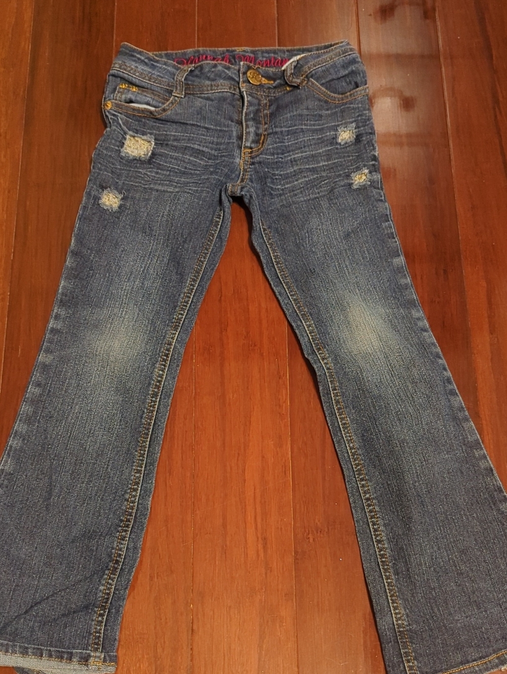 Girl’s Distressed Blue Denim Jeans